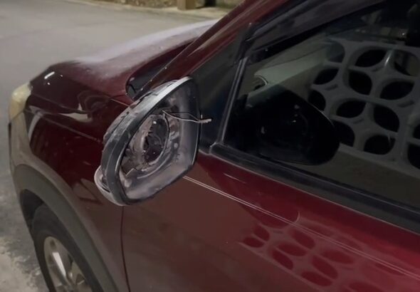 Captura-de-pantalla-2026-03-13-082109