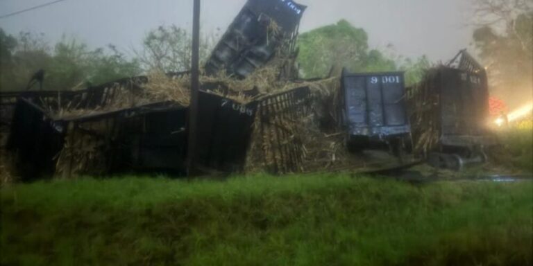 Plantilla-para-portal-2026-03-21T134913.271