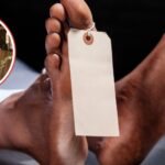 Plantilla-para-portal-2026-04-18T124247.462