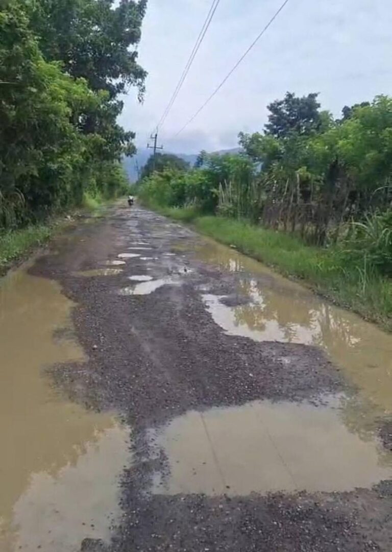 WhatsApp-Image-2026-04-25-at-9.12.52-AM