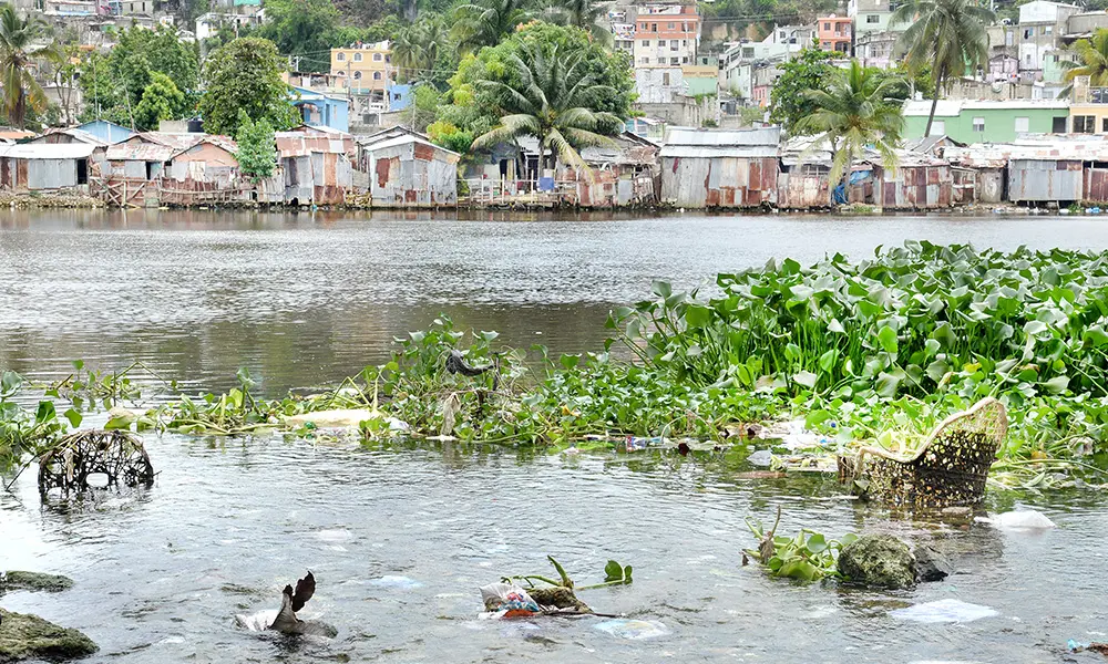 Lilas-en-el-rio-Ozama