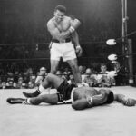 boxer-lede-superJumbo-860x707
