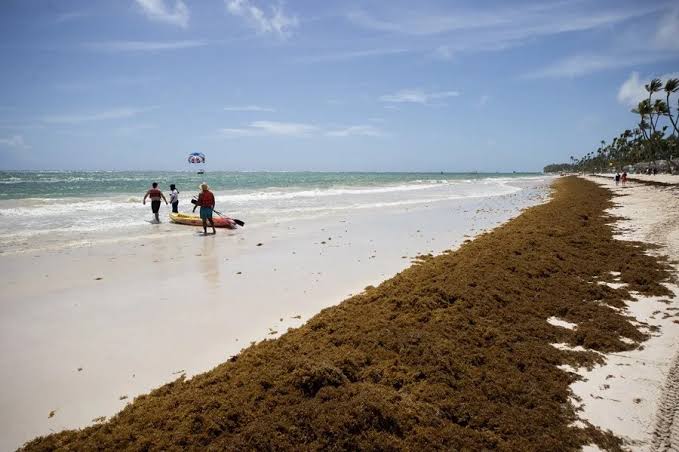 images-58